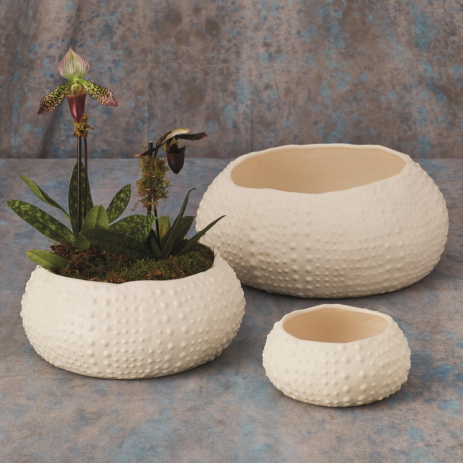 Ceramic Urchin Bowl-Global Views-GVSA-3.31154-BowlsLarge-Matte White-2-France and Son