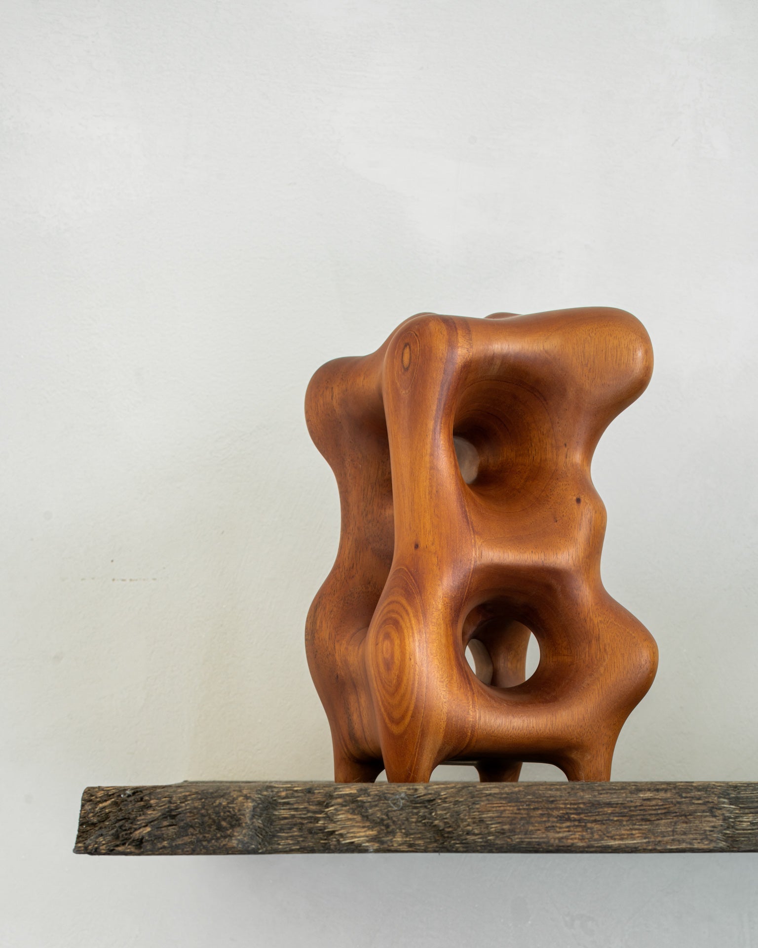 Natural Organic Sculpture - Tan