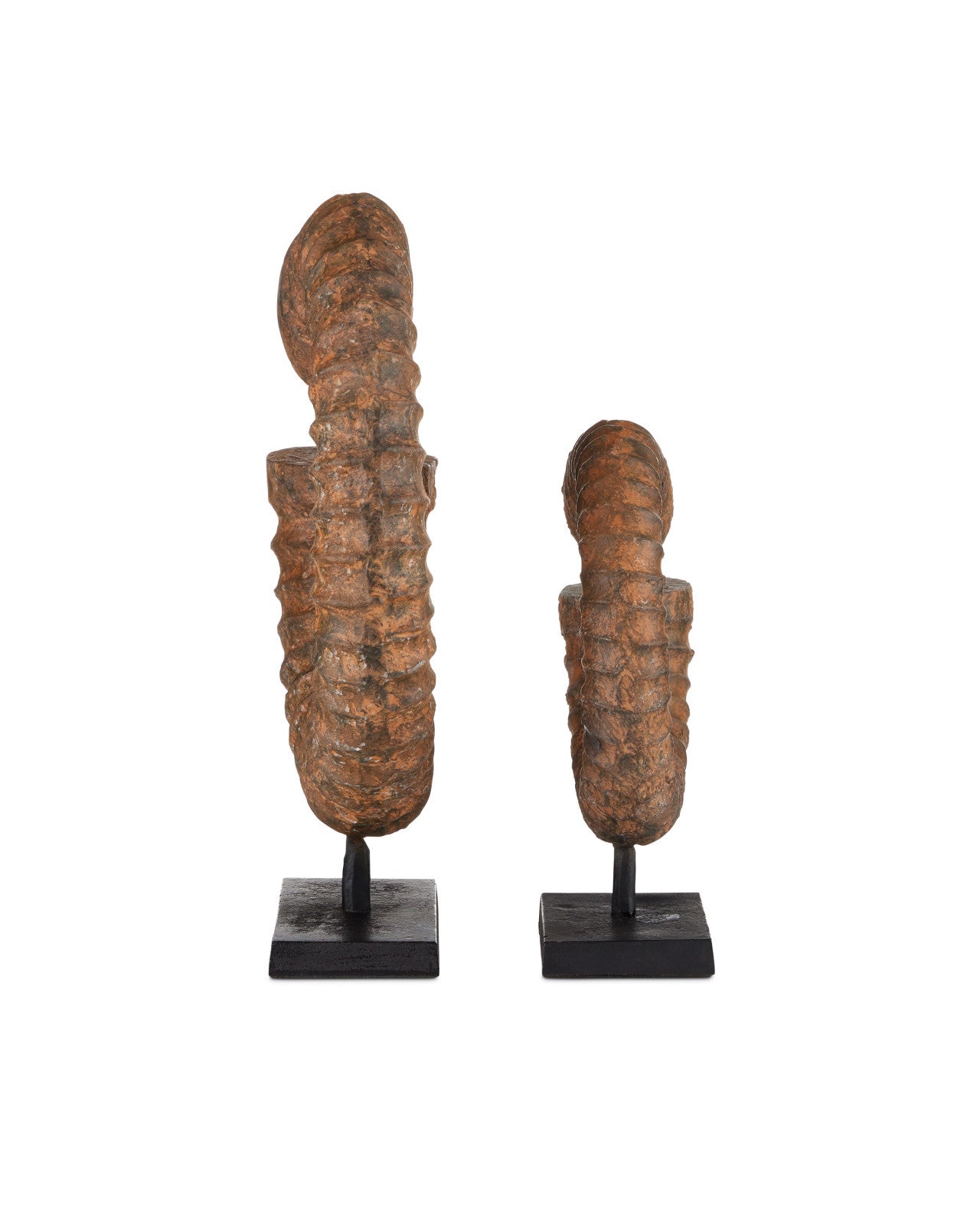 Faux Horn Set of 2