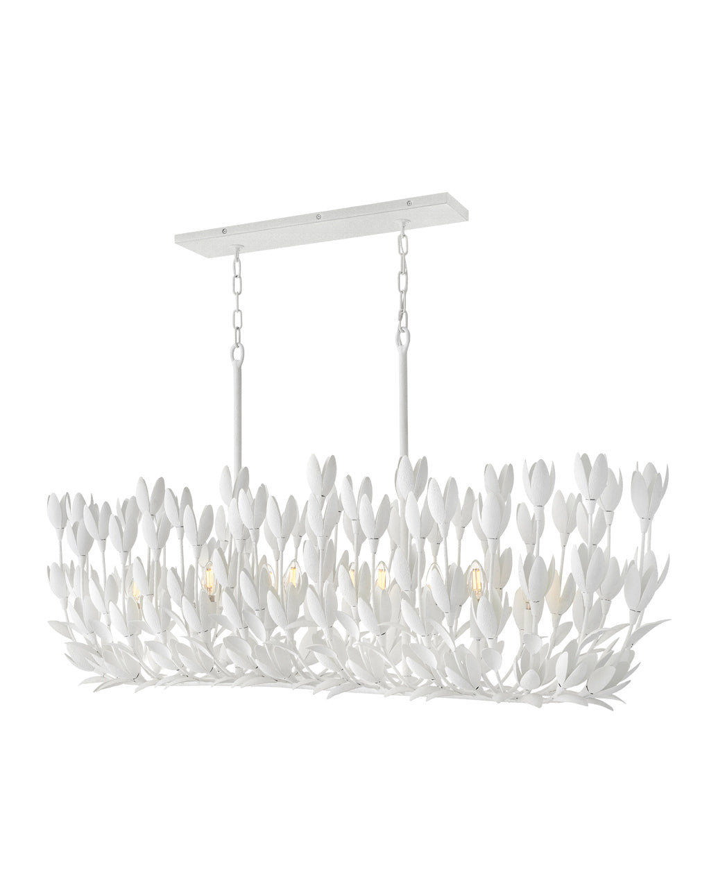 Ten Light Linear-Hinkley Lighting-HINKLEY-30015BNG-Chandeliers-4-France and Son