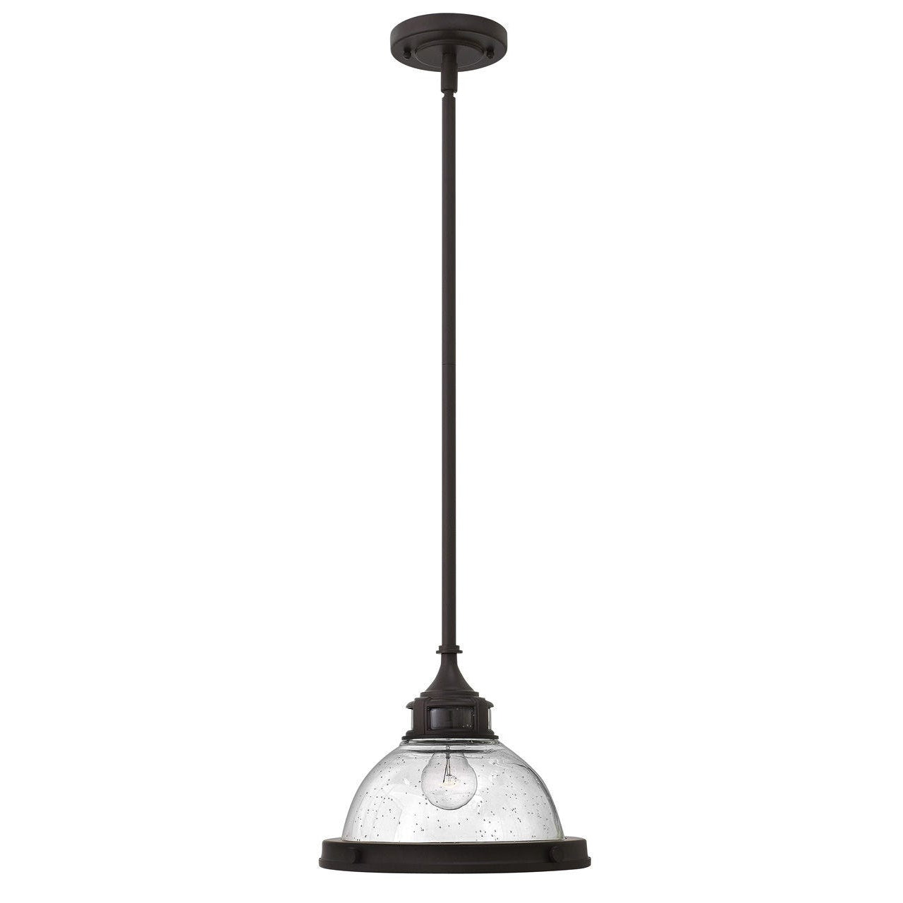 Amelia Small Pendant-Hinkley Lighting-HINKLEY-3123KZ-PendantsBuckeye Bronze With Clear Seedy Glass-1-France and Son