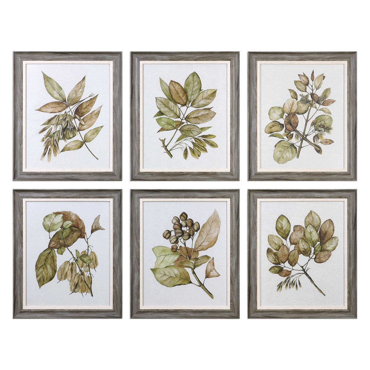 Seedlings Framed Prints S/6-Uttermost-UTTM-33643-Wall Art-1-France and Son
