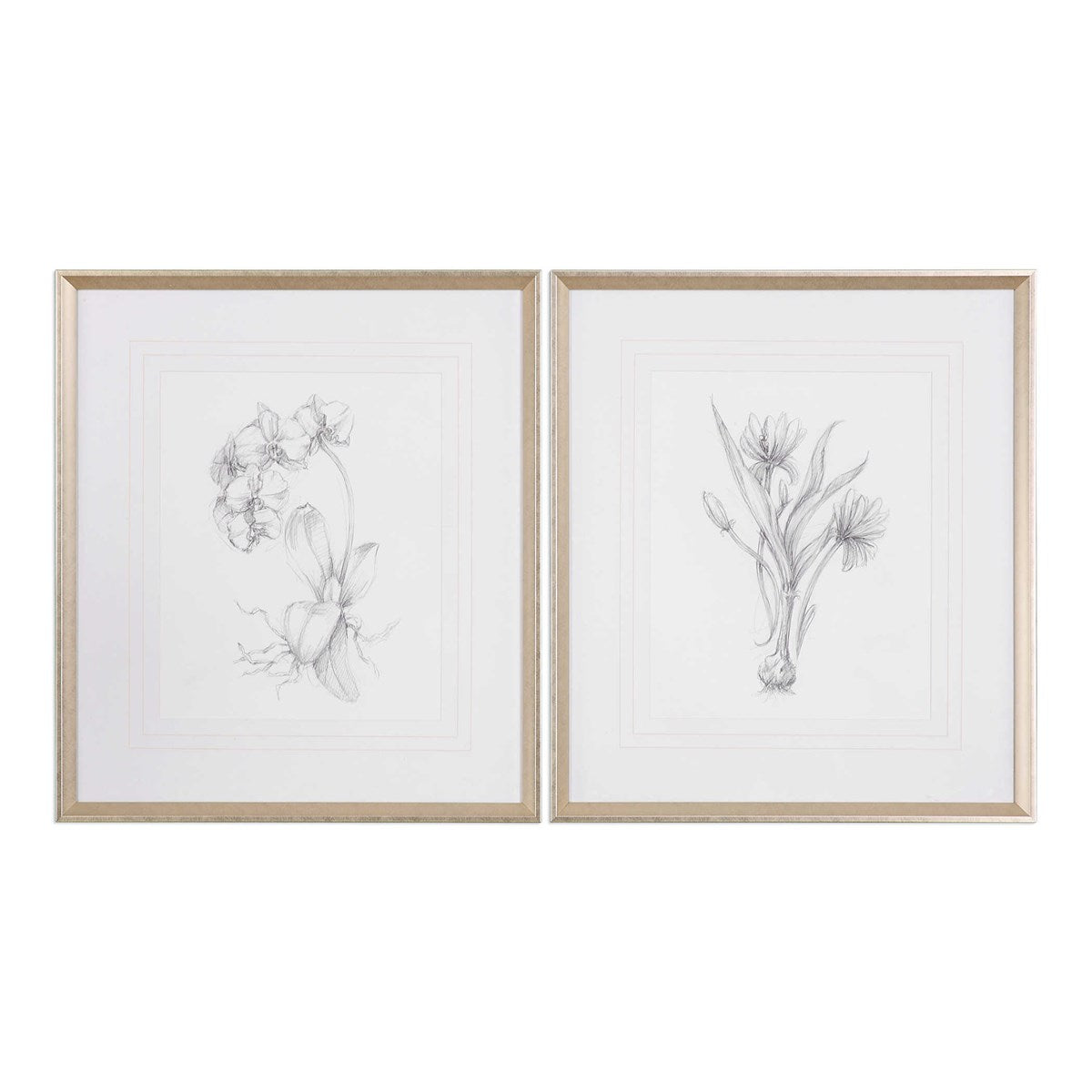 Botanical Sketches Framed Prints S/2-Uttermost-UTTM-33649-Wall Art-1-France and Son