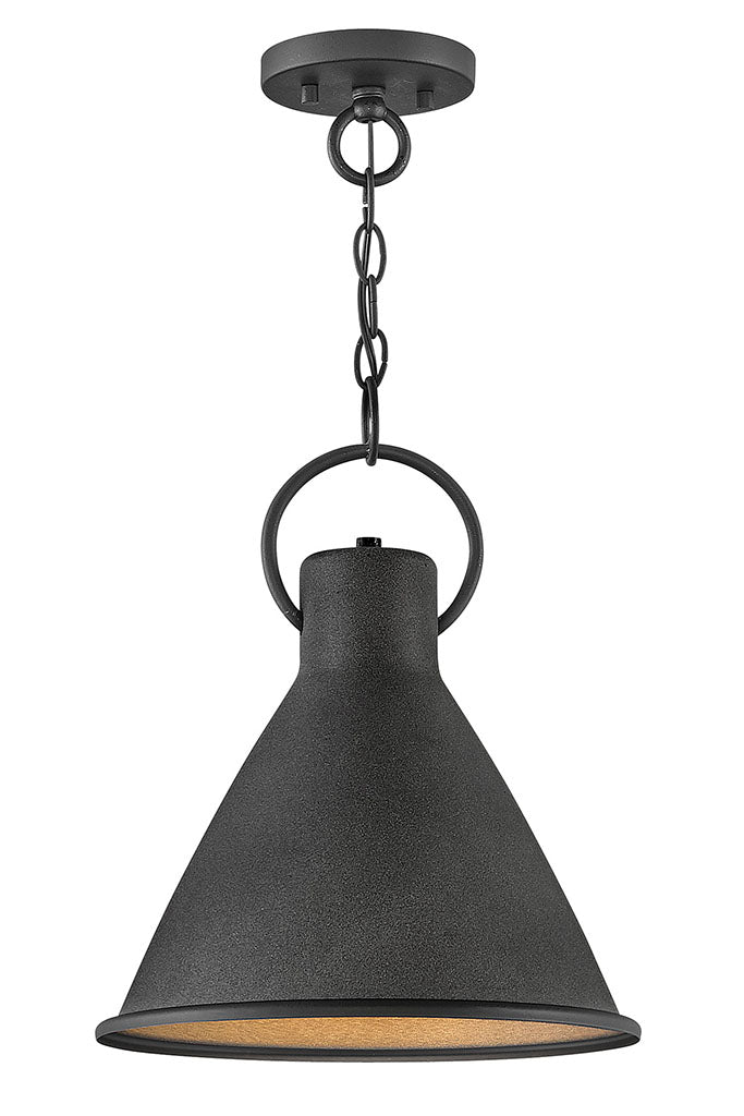 Winnie Small Pendant-Hinkley Lighting-HINKLEY-3557DZ-PendantsAged Zinc-2-France and Son