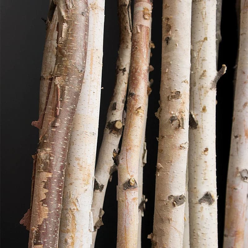 Birch Poles Natural 6'x 1-2" - set of 12-Gold Leaf Design Group-GOLDL-4276-6-Wall Decor-2-France and Son