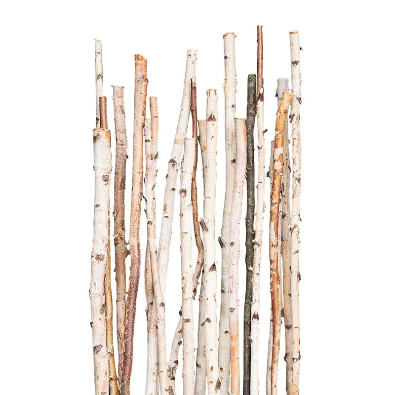 Birch Poles Natural 6'x 1-2" - set of 12-Gold Leaf Design Group-GOLDL-4276-6-Wall Decor-1-France and Son