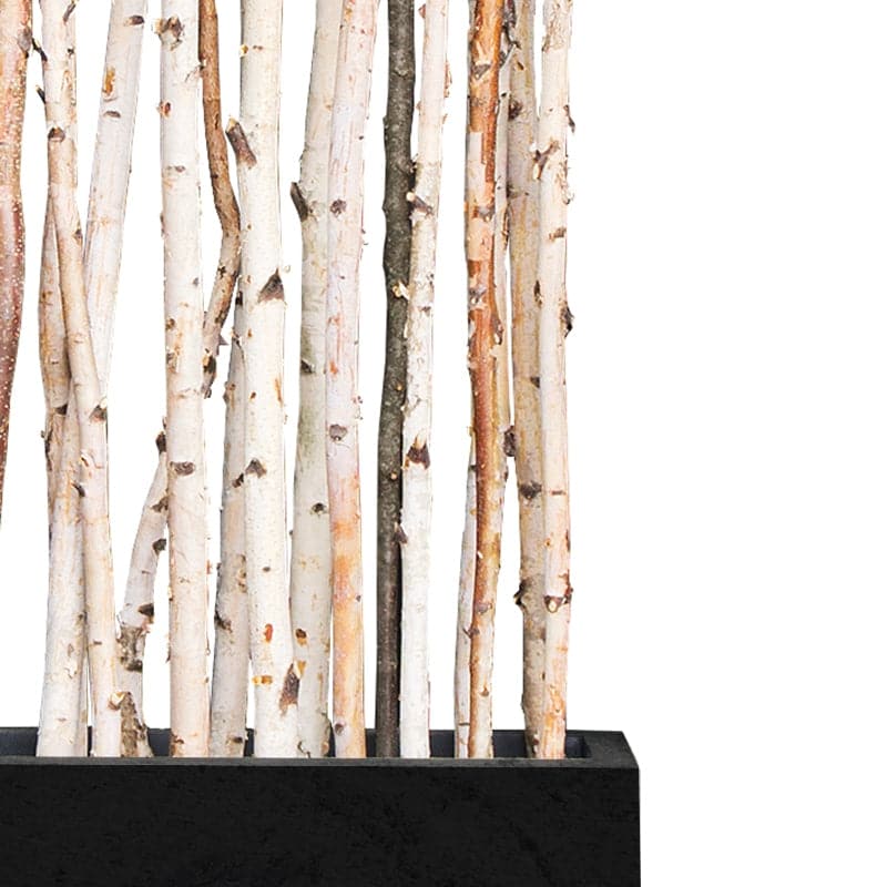 Birch Poles Natural 6'x 1-2" - set of 12-Gold Leaf Design Group-GOLDL-4276-6-Wall Decor-3-France and Son