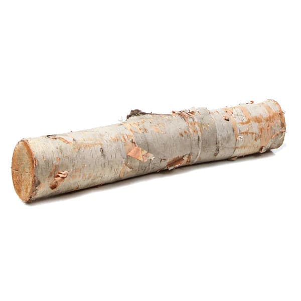 Birch Log 12"-15"Lx1"-2"D - set of 24-Gold Leaf Design Group-GOLDL-4279-15-Decor-3-France and Son