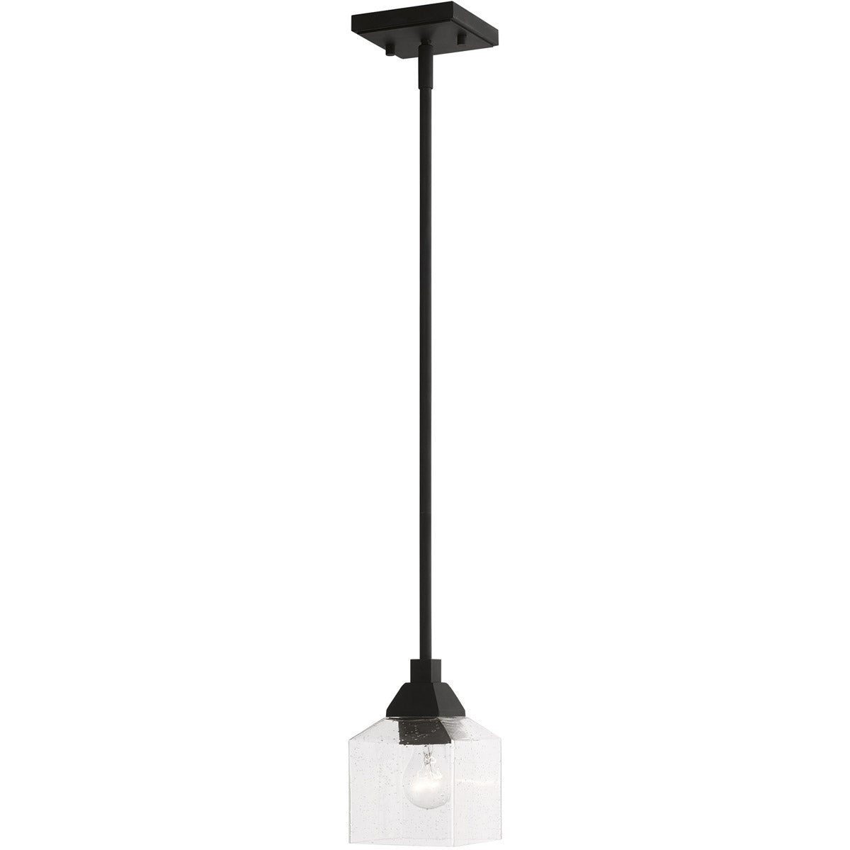 Aragon Mini Pendant - Black-Livex Lighting-LIVEX-49761-04-Pendants-1-France and Son