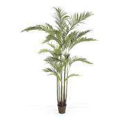 10' Areca Palm Tree