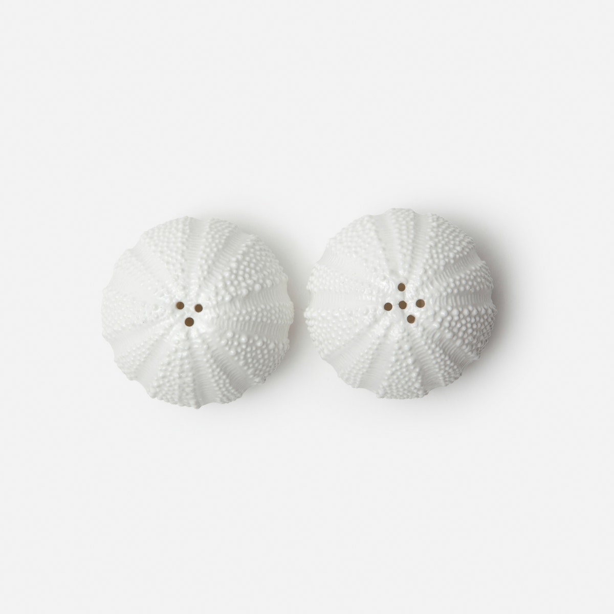 Marina White 1 Set Of Sea Urchin Salt & Pepper Shaker Porcelain Boxed