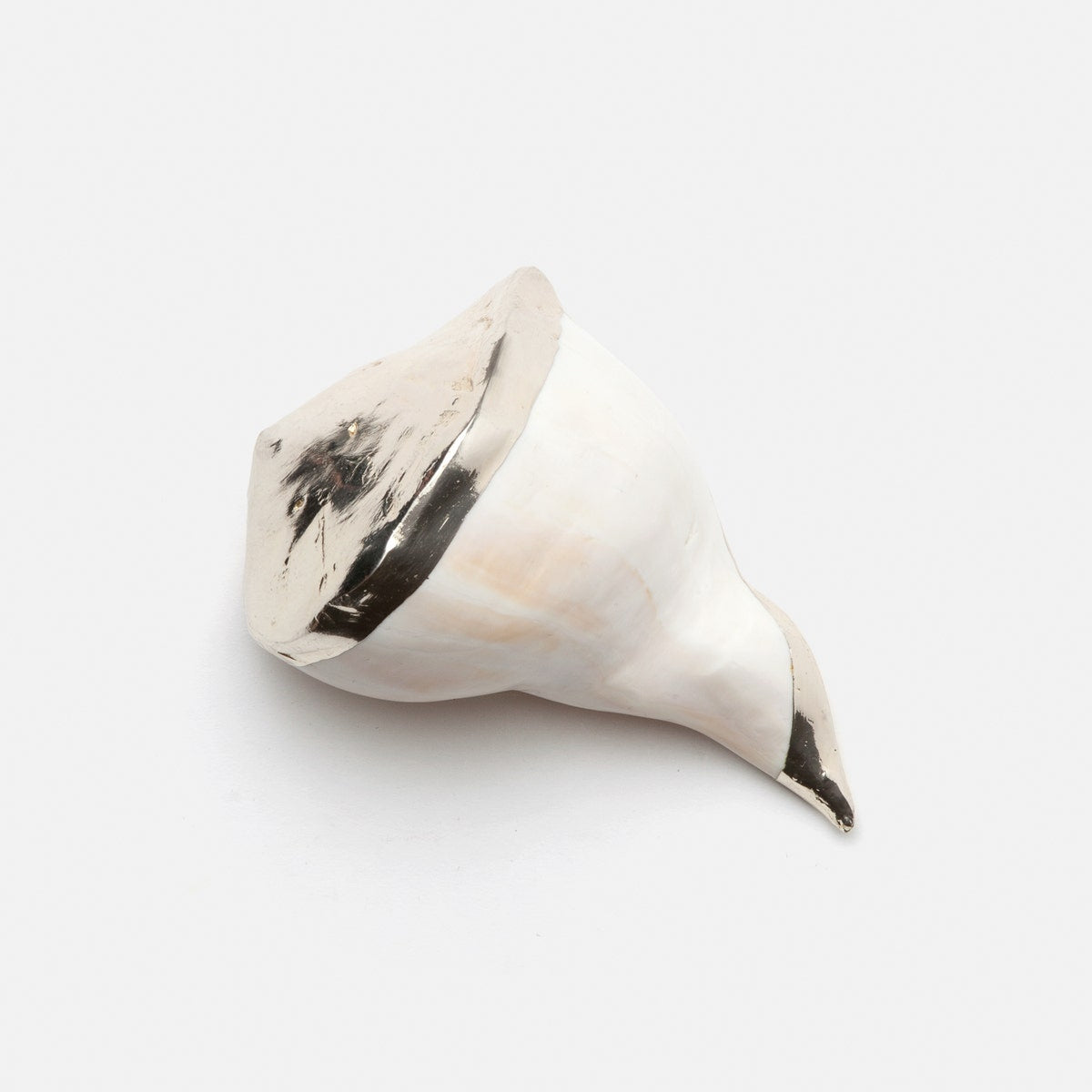 Jacob Natural/Silver Whelk Shell Pack/2