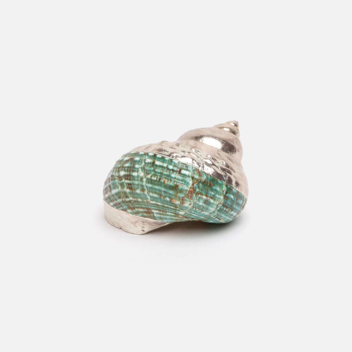 Jade Mixed Shell S/3