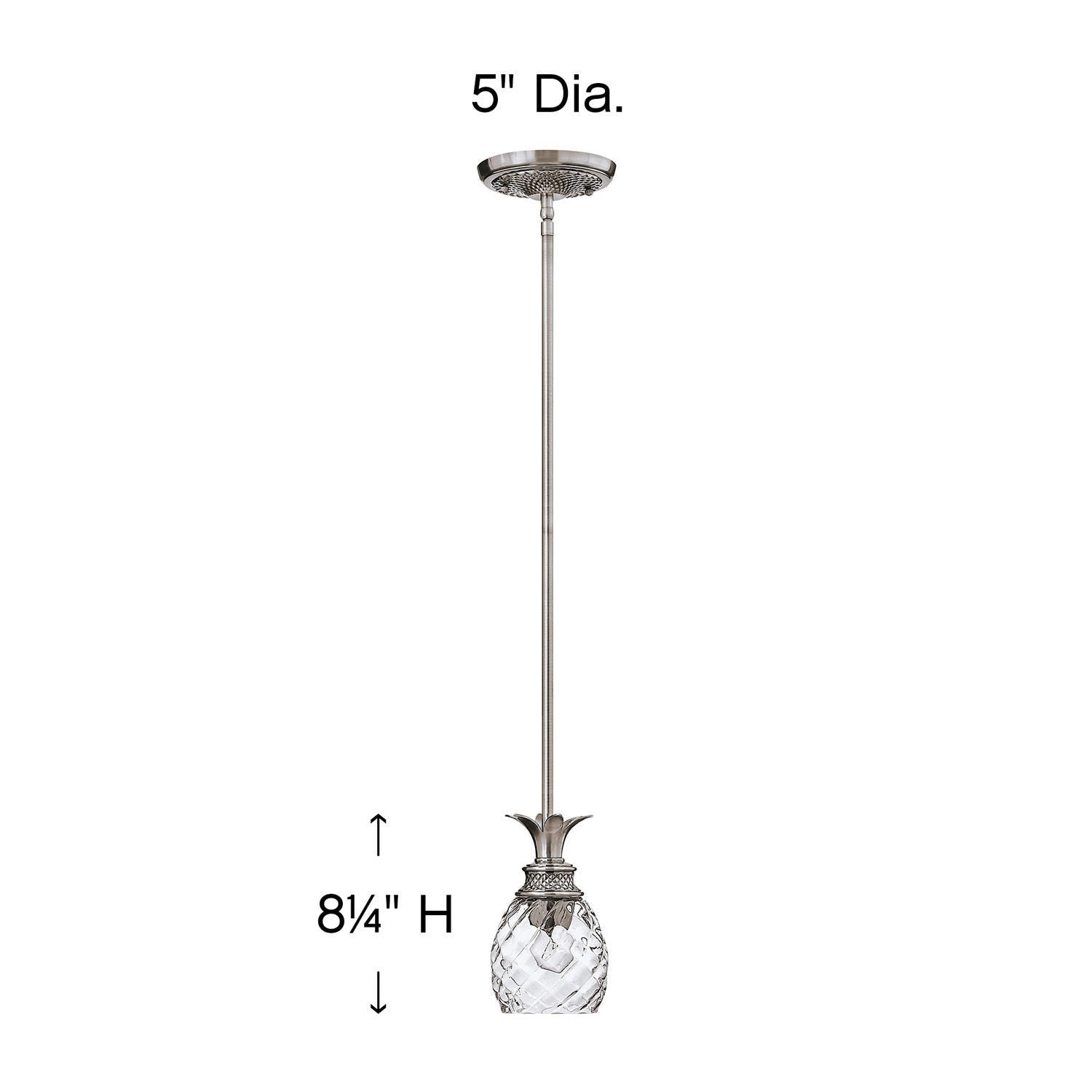 Plantation - Small Pendant-Hinkley Lighting-HINKLEY-5317PL-Pendants-2-France and Son