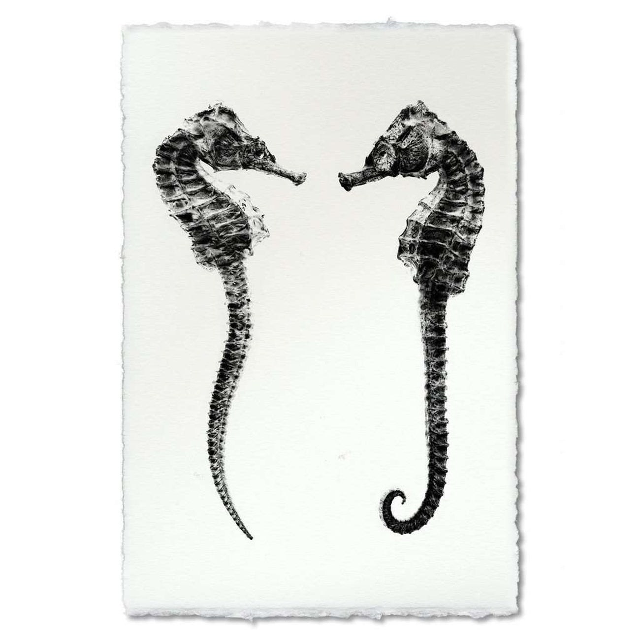 BARLOGA-SeahorseCouplePrint  - Parent -  seahorse couple print 