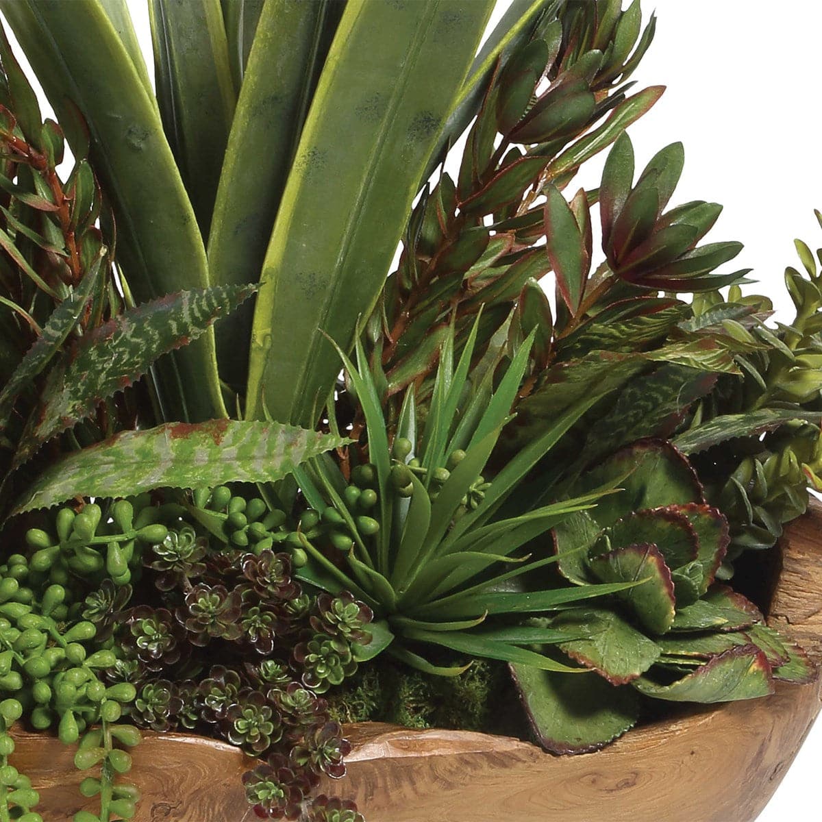 Uttermost Salar Succulents In Teak Bowl-Uttermost-UTTM-60119-Decorative Objects-3-France and Son