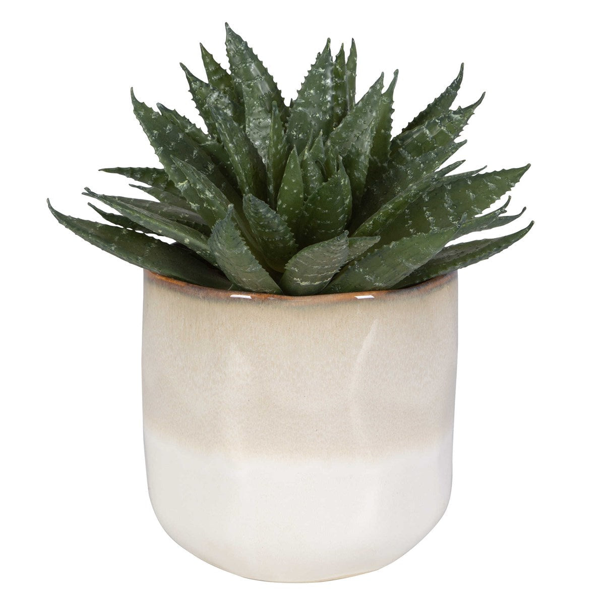 Uttermost Doha Succulent Accent-Uttermost-UTTM-60213-Faux Plants-3-France and Son