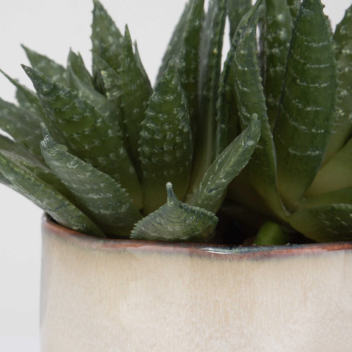 Uttermost Doha Succulent Accent-Uttermost-UTTM-60213-Faux Plants-5-France and Son