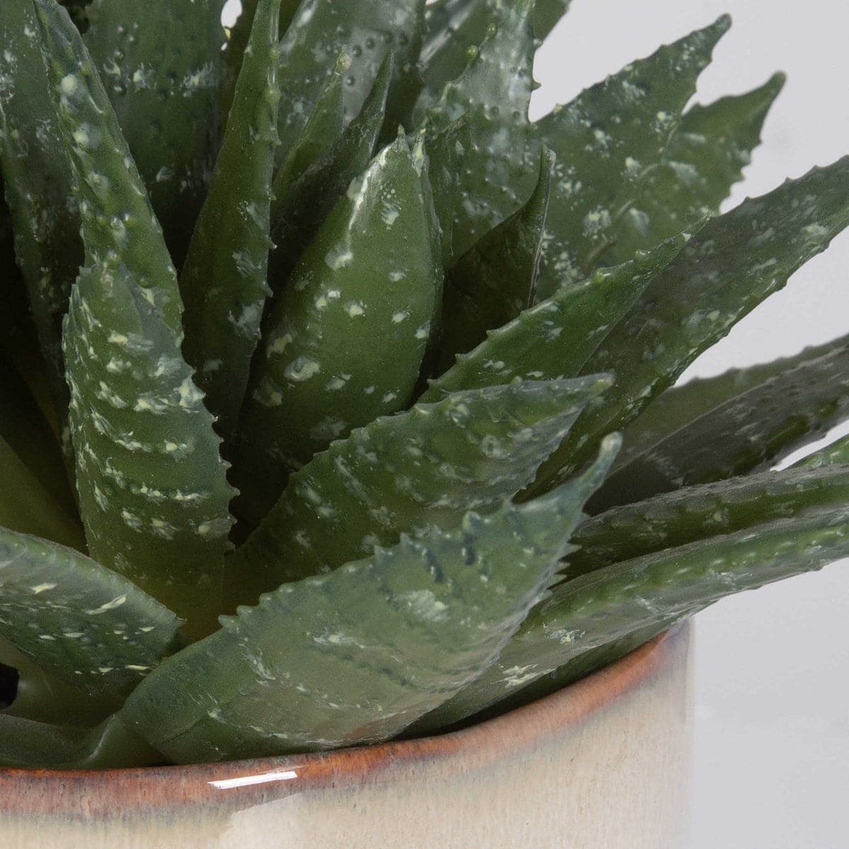 Uttermost Doha Succulent Accent-Uttermost-UTTM-60213-Faux Plants-4-France and Son