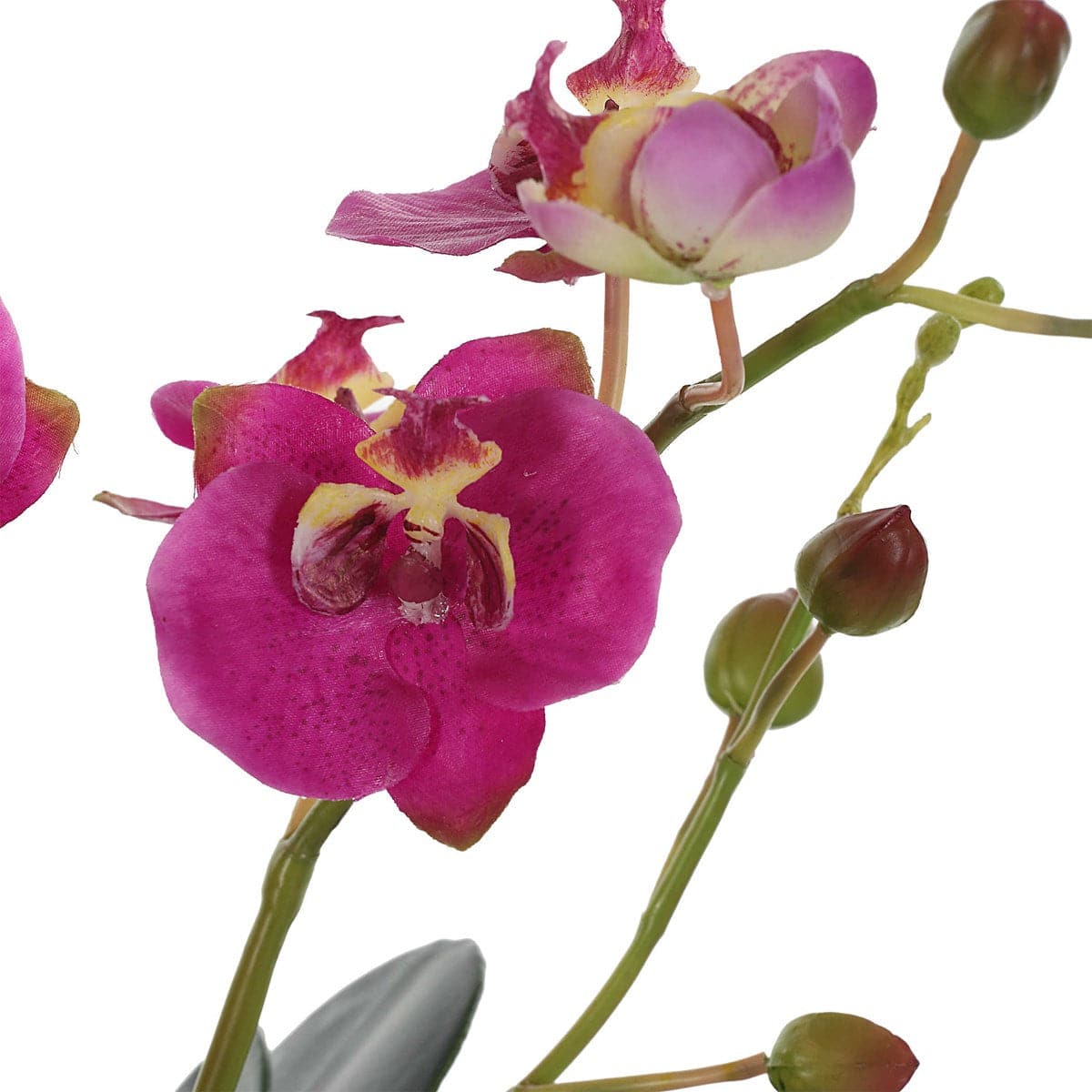 Uttermost Glory Fuchsia Orchid-Uttermost-UTTM-60220-Faux Plants-4-France and Son