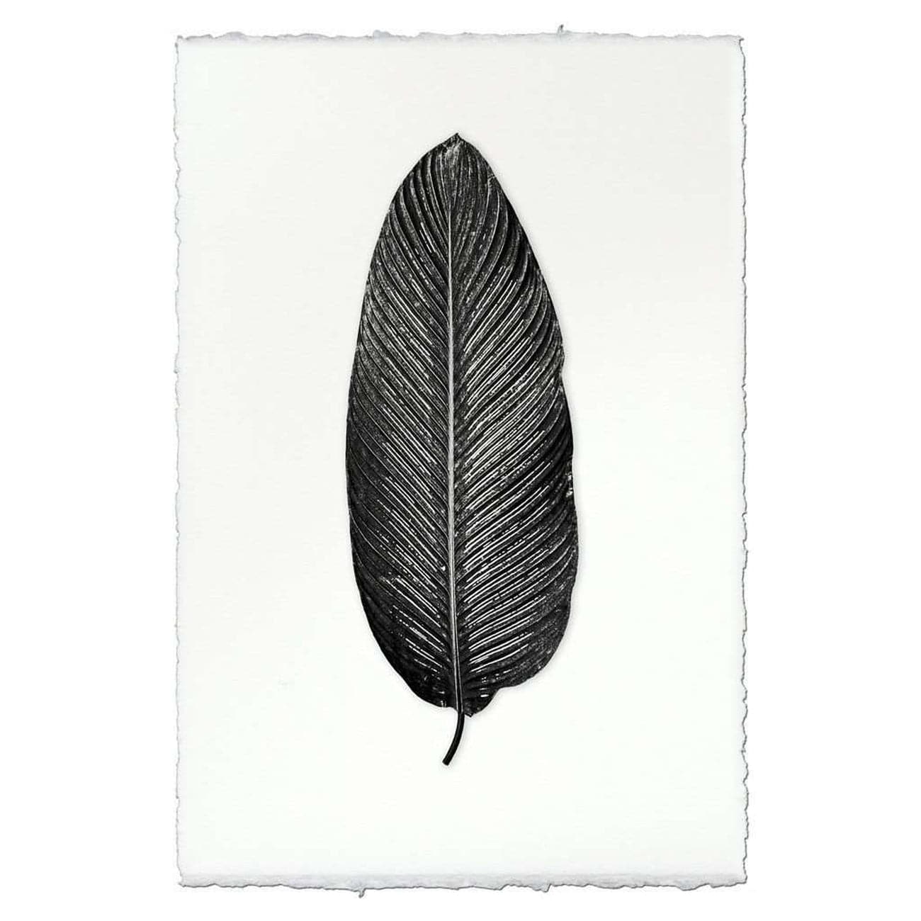 Vertical Lines Leaf Print  - BARLOGA-VerticalLinesLeafPrint  - Parent 