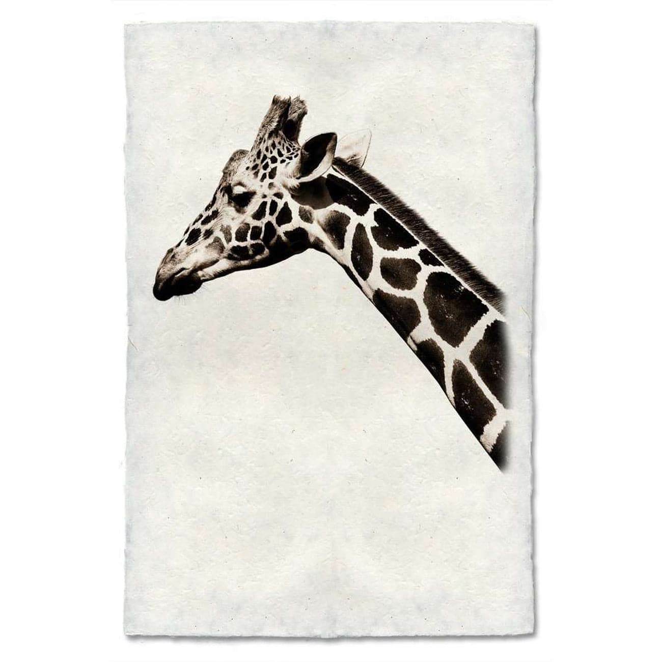 BARLOGA-LongNeckGiraffePrint - Parent - Long Neck Giraffe Print 