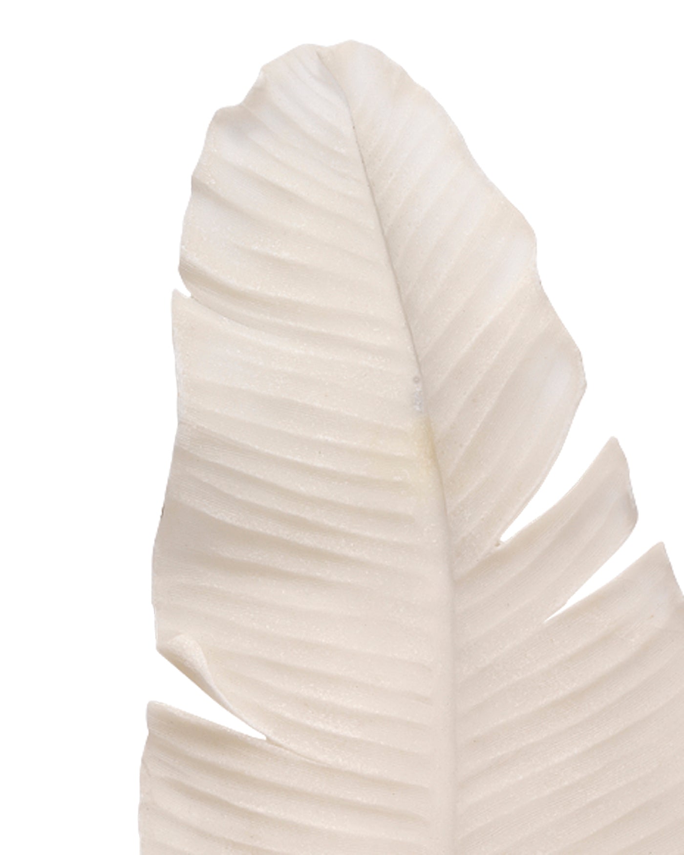 Feather Object-Jamie Young-JAMIEYO-7FEAT-LGWH-Decor-3-France and Son