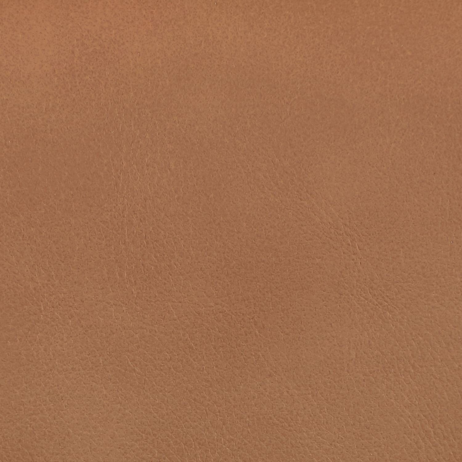 Ellis Cane And Vegan Leather Upholstered Dining Chair — Cognac / Brown