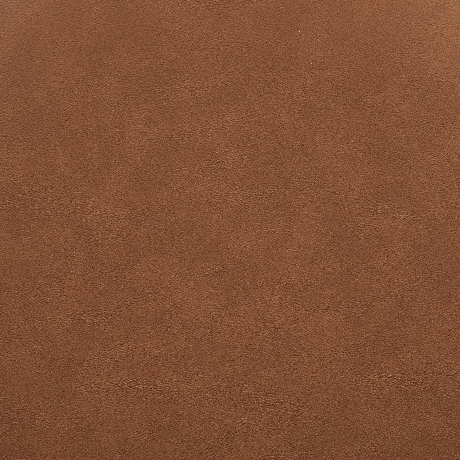 Atrium Cane Back And Vegan Leather Upholstered Seat Dining Chair — Cognac / Brushed Natural / White Cerusing
