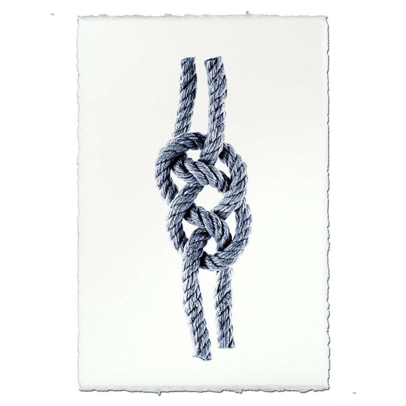 BARLOGA-CarrickBendKnotPrint - Parent  - carrik bend knot print 