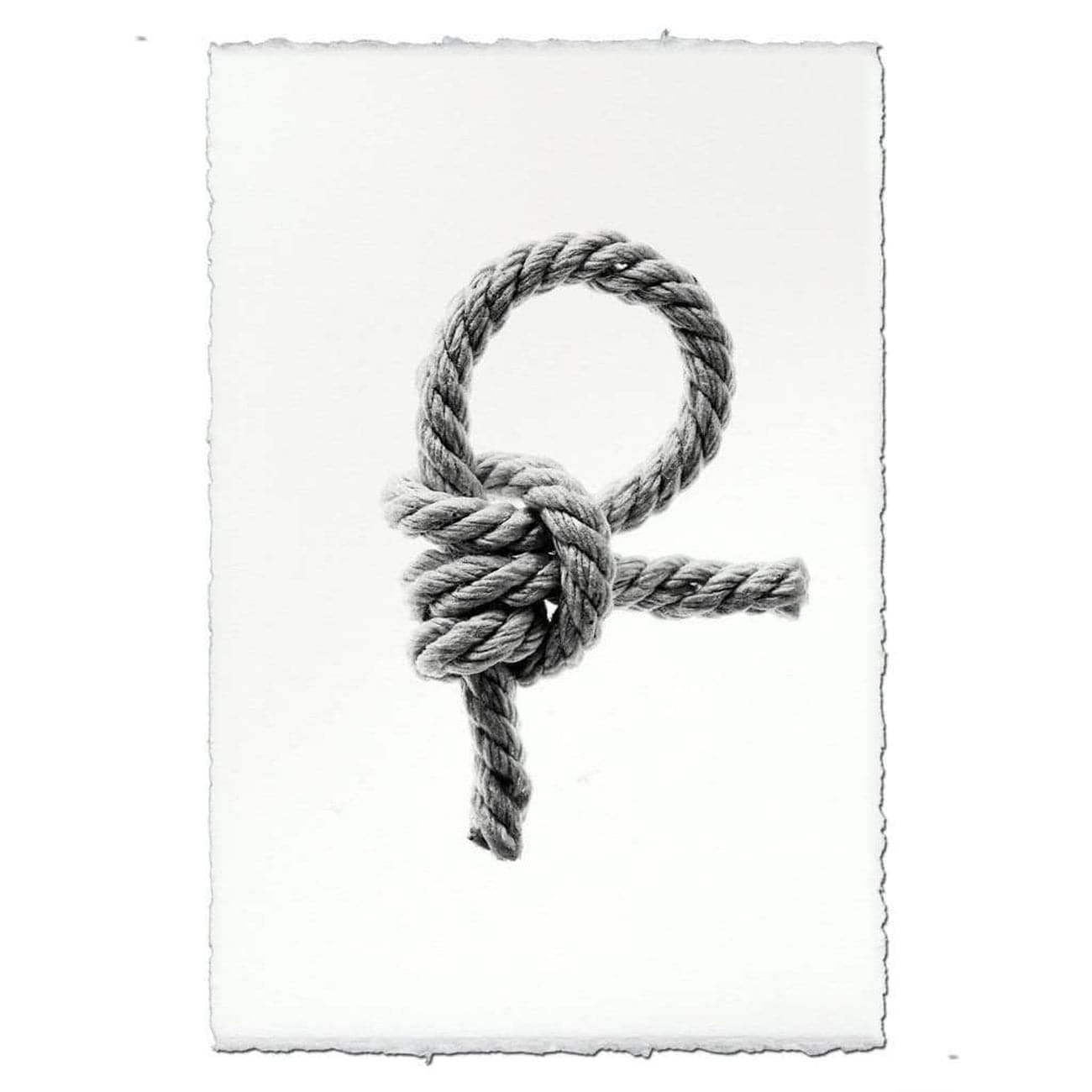 BARLOGA-HitchKnotPrint - Parent - hitch knot print