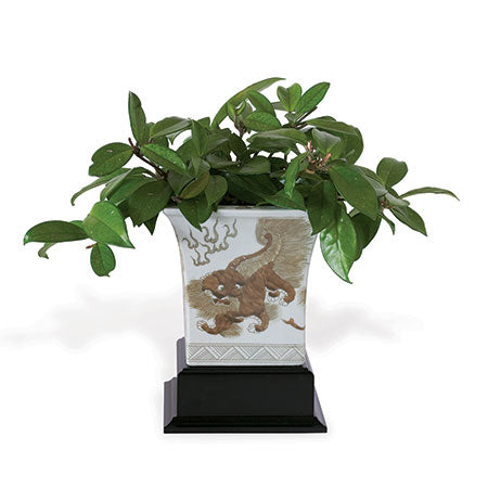 Chow Brown Square Planter (Includes Stand)-Port 68-PORT-ACBS-059-10-Planters-2-France and Son