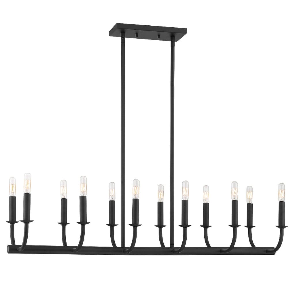 Bailey 12 Light Chandelier-Crystorama Lighting Company-CRYSTO-BAI-A2112-MK-ChandeliersMatte Black-3-France and Son