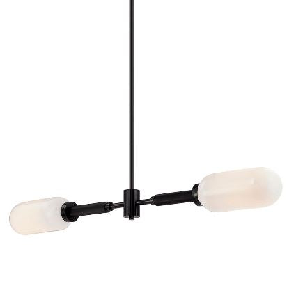 Annex Chandelier Anodized Black-Troy Lighting-TROY-F7356-AN-Chandeliers2 Light-1-France and Son
