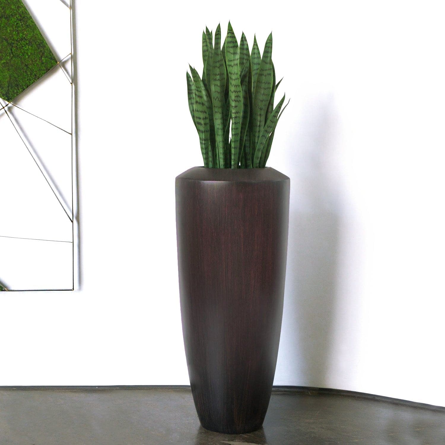 Sansevieria in SM Barrel Plant-Gold Leaf Design Group-GOLDL-HY1500-SM-Planters-1-France and Son