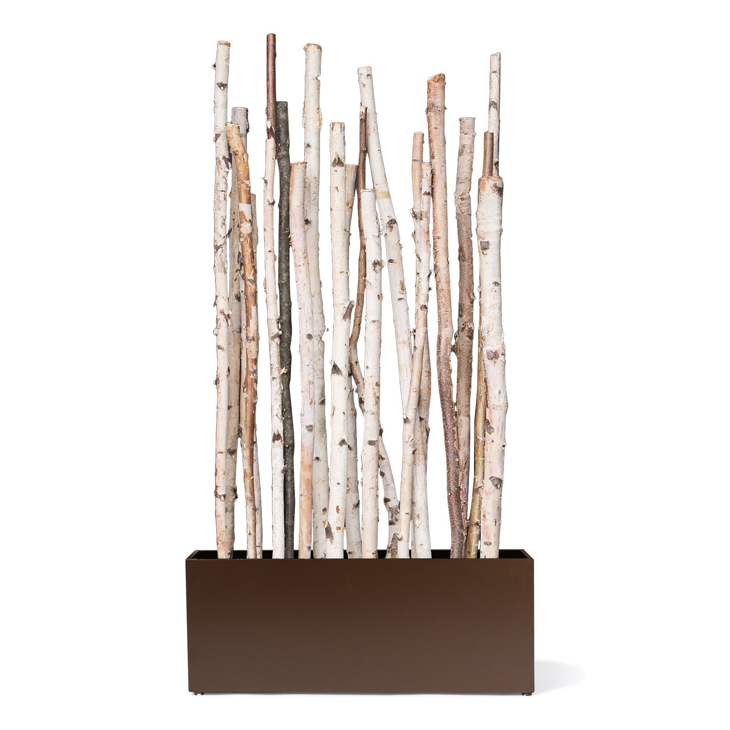 Birch Poles In Custom Rectangle Planter-Gold Leaf Design Group-GOLDL-HY1591-70-Planters-1-France and Son