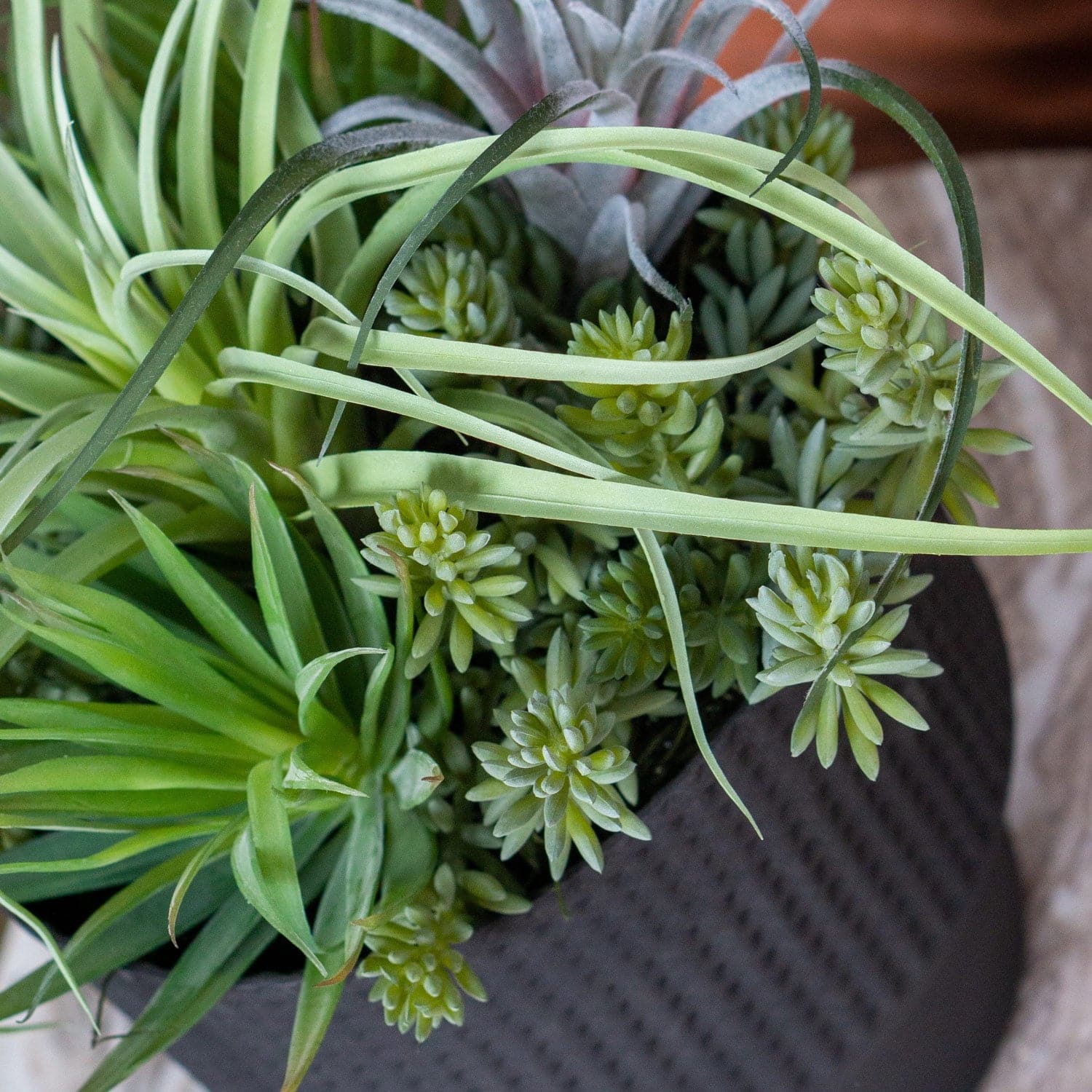 Nama Air Plant Mix With Sedum 13"H-Gold Leaf Design Group-GOLDL-HY1838-13-Planters-3-France and Son