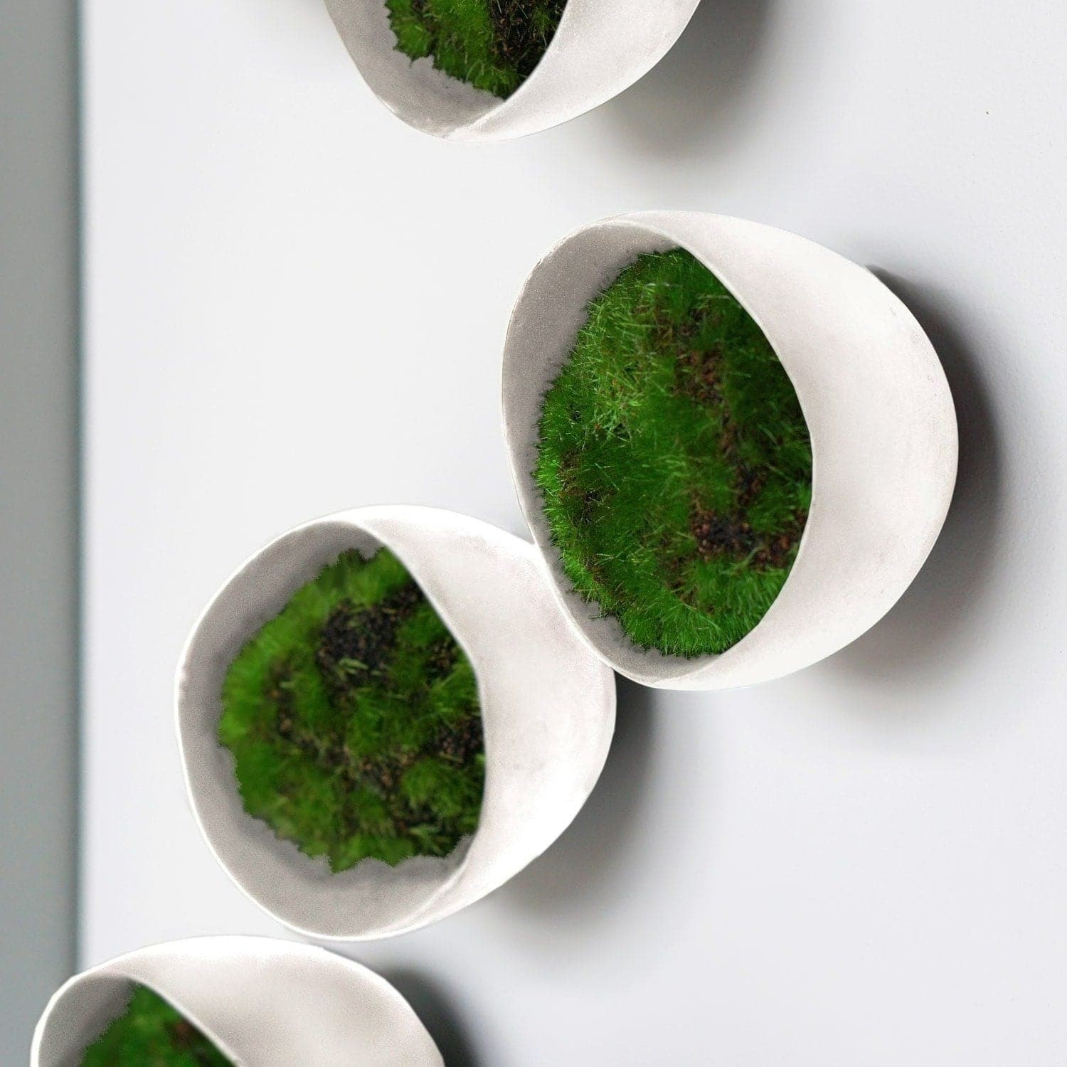 Green Wall - Moss With Wall Play - Set of 10-Gold Leaf Design Group-GOLDL-HY1851-WH-Wall DecorSeed White-3-France and Son