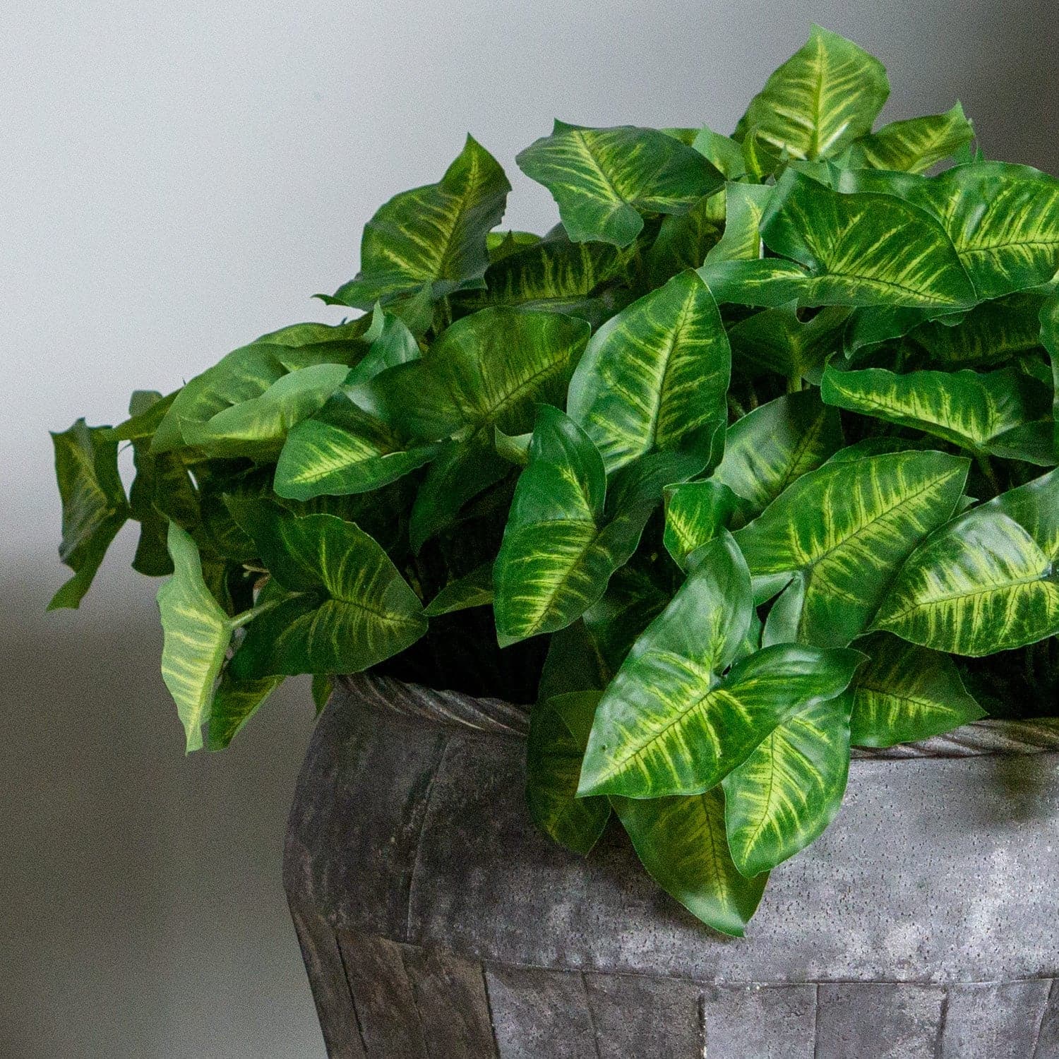 Syngonium In Pompeii Planter, SM-Gold Leaf Design Group-GOLDL-HY2084-23-Planters-2-France and Son