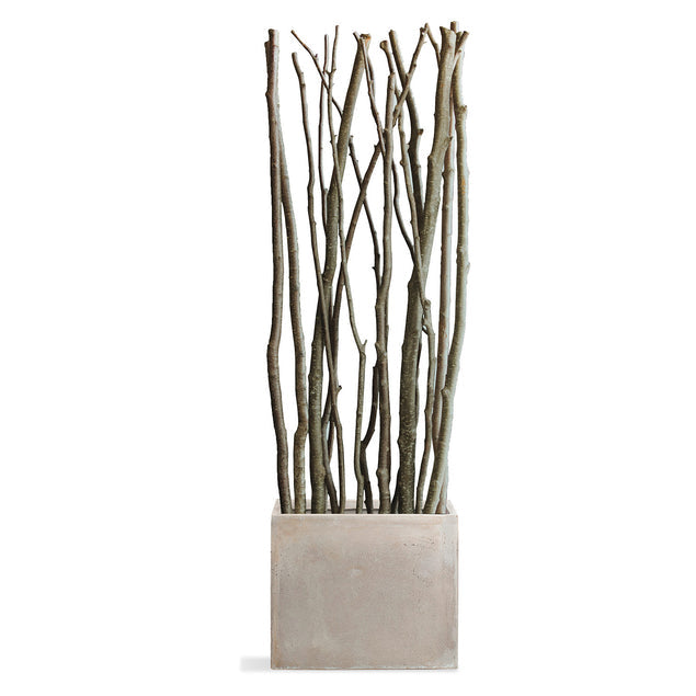 Alder Poles in Urbano Rectangle Planter - Small-Gold Leaf Design Group-GOLDL-HY3709-SM-Planters-1-France and Son