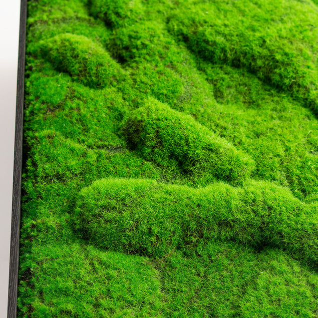 Green Wall, "New Moss Rectangle 50"L"-Gold Leaf Design Group-GOLDL-HY8612-50-Wall Decor-3-France and Son