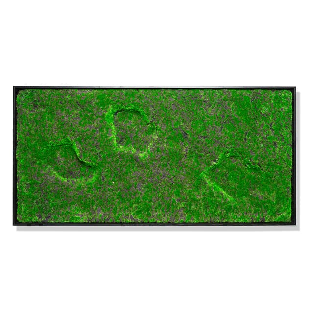 Green Wall, New Moss w/Open Pools-Gold Leaf Design Group-GOLDL-HY9427-50-Wall Decor-1-France and Son