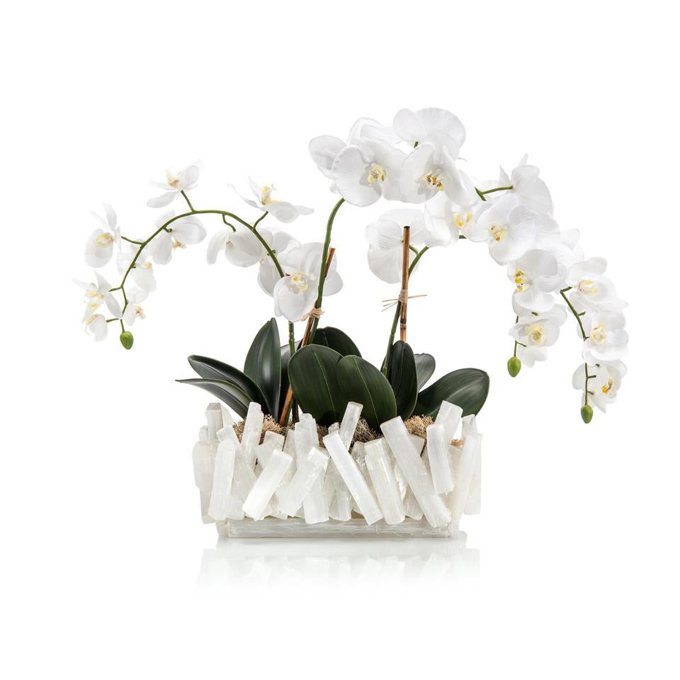 Selenite Orchids-John Richard-JR-JRB-4041-Faux Plants-1-France and Son