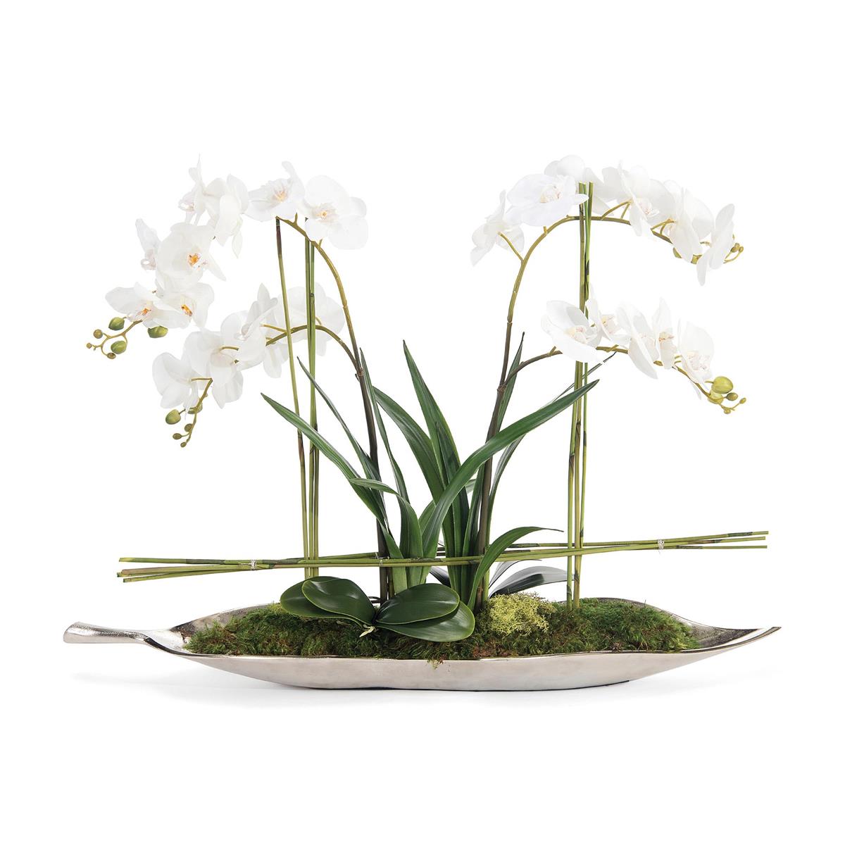 Silver Leaf Orchids-John Richard-JR-JRB-4316-Decor-1-France and Son