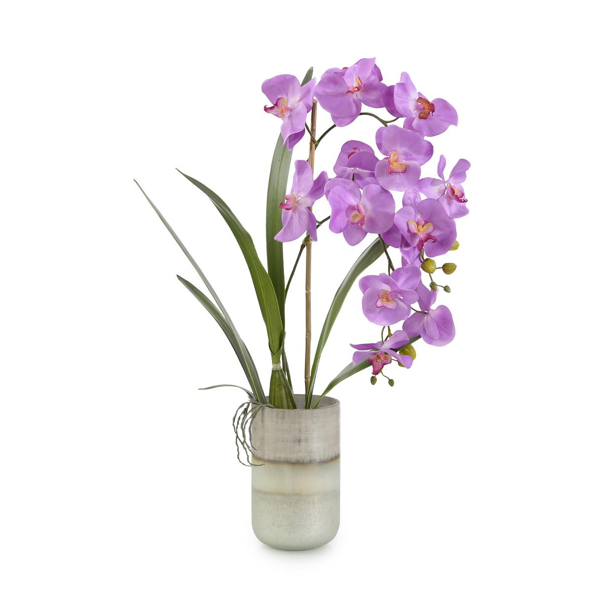Asian Orchids-John Richard-JR-JRB-5127-Decor-1-France and Son