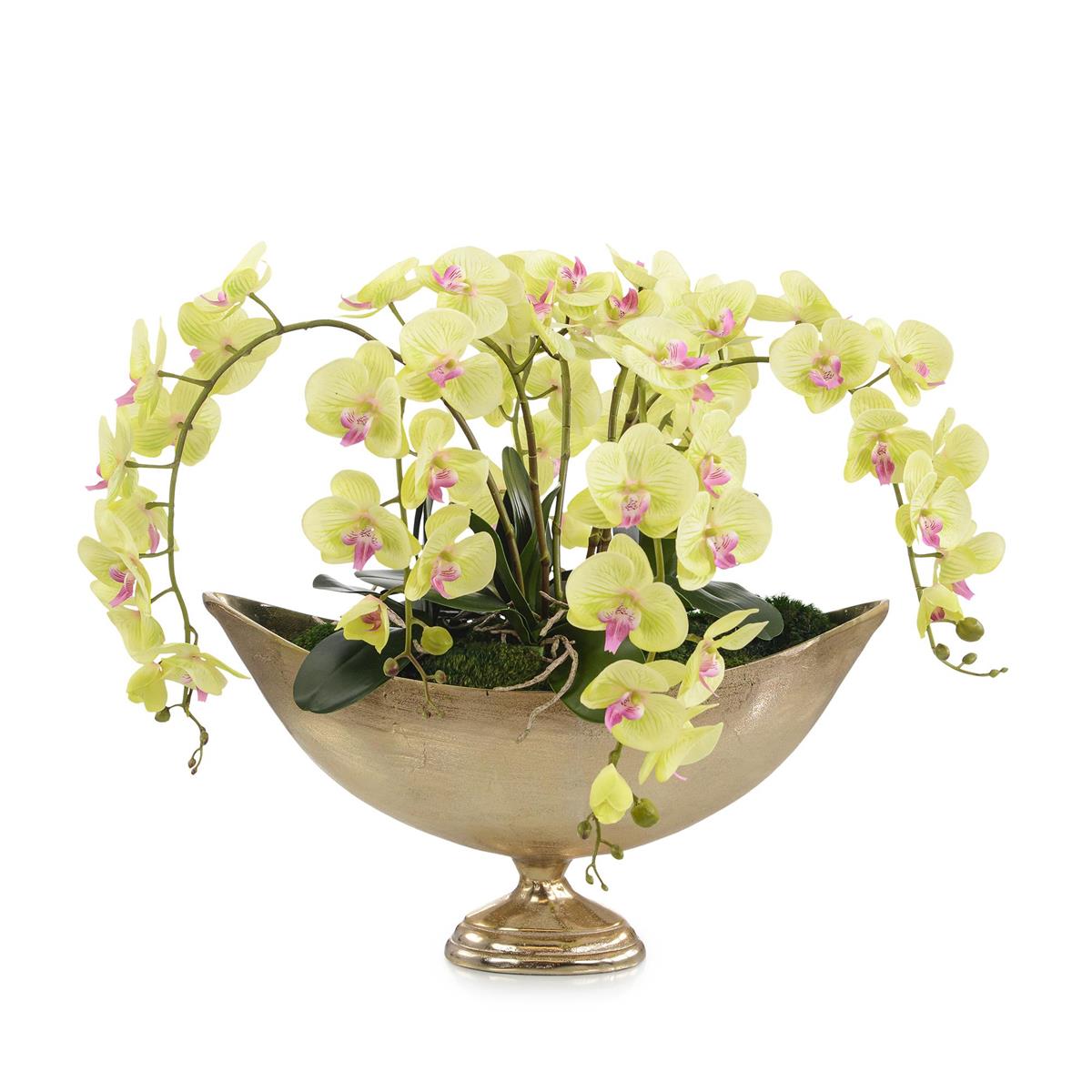 Limelight Orchid-John Richard-JR-JRB-5140-Faux Plants-1-France and Son