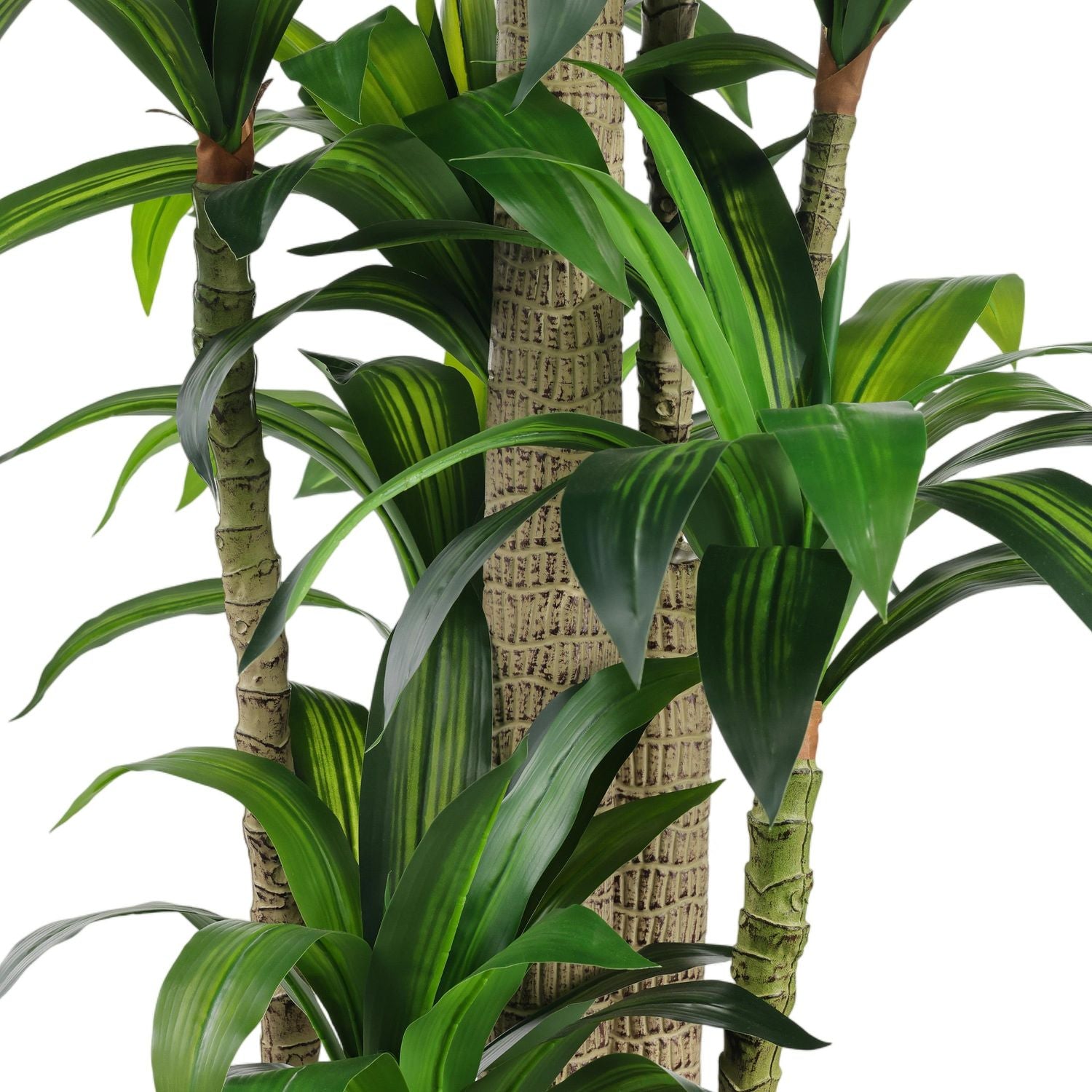 Alternate view of Dracaena Corn Tree, featuring glossy glaze finish, ceramic, faux foliage, and freestanding floor planter.