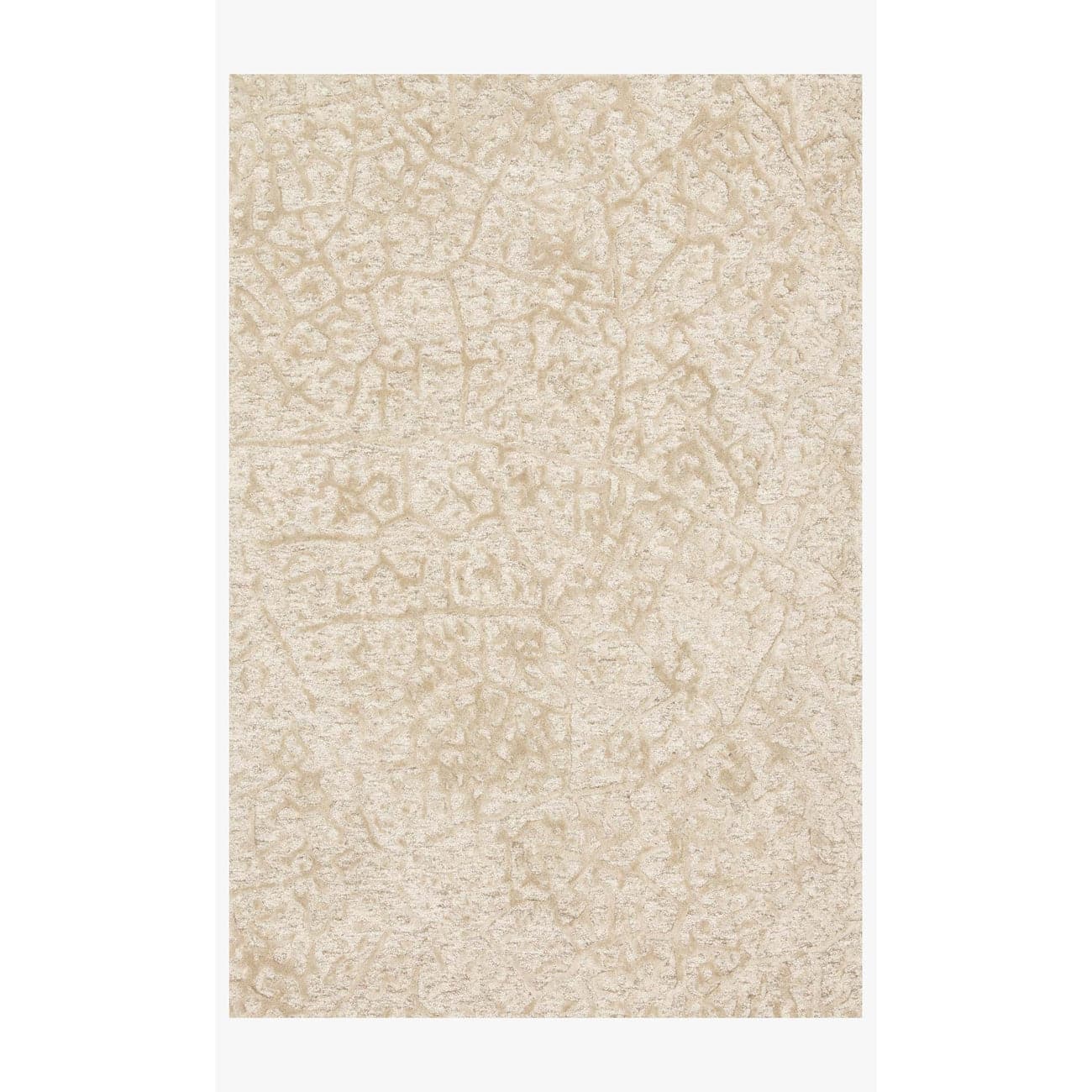 Juneau JY-03 Ant Ivory / Beige Area Rug-Loloi-LOLOI-JUNEJY-03AIBE3656-Rugs3'-6" x 5'-6"-1-France and Son