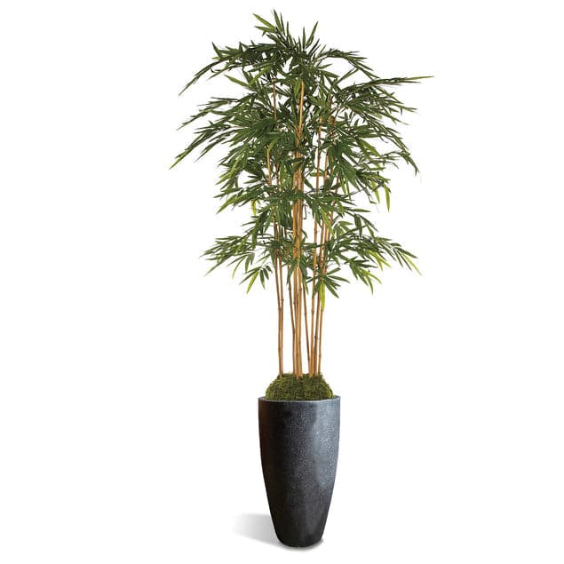 Bamboo Tree in Kawa Planter-Gold Leaf Design Group-GOLDL-HY3105-BK-PlantersGranite Black-1-France and Son