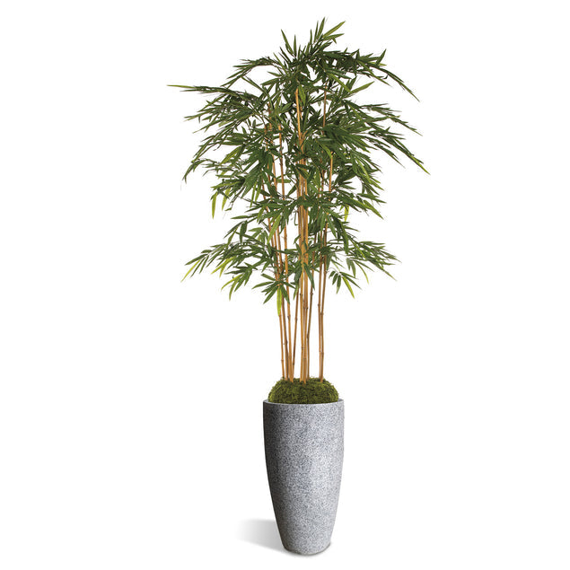 Bamboo Tree in Kawa Planter-Gold Leaf Design Group-GOLDL-HY3105-WH-PlantersGranite White-3-France and Son